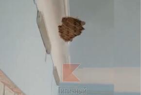 В школе Кубани обрушилась часть потолка