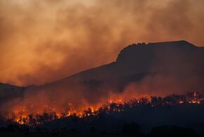 На Кубани объявлено экстренное предупреждение о пожароопасности 