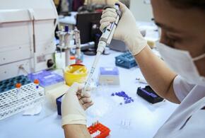 На Кубани почти 300 человек заразились коронавирусом за сутки