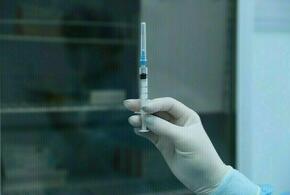 В Адыгее ввели обязательную вакцинацию, непривитых будут штрафовать