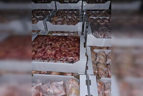 В Усть-Лабинске сожгли две тонны опасного мяса птицы