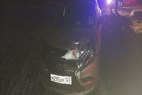 В Краснодарском крае «Лада» сбила пешехода, мужчина погиб
