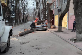 В Крыму от последствий урагана пострадали пять человек