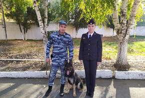 В Усть-Лабинске служебный пес разыскал пропавшую женщину