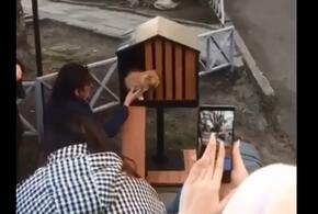 В Анапе появился квартал с домами для уличных котов ВИДЕО