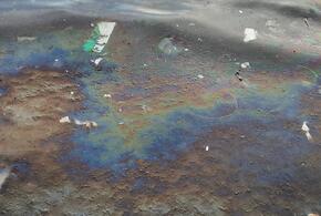В Геленджике появилось новое нефтяное пятно ВИДЕО