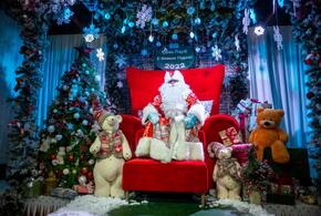 В Сочи Дед Мороз и Снегурочка принимают первых гостей