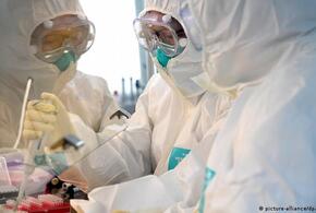 За сутки на Кубани 534 человека заразились коронавирусом