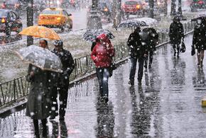 На Кубани сегодня ожидаются дождь, снег и гололед