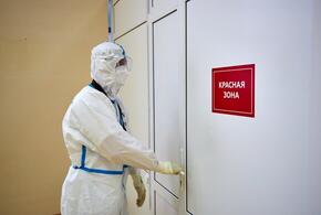Российские ученые прогнозируют к февралю новую волну коронавируса