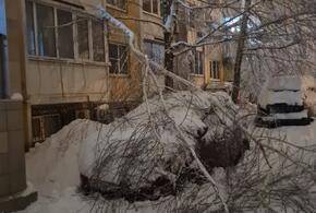 Снежный коллапс: жители Кубани жалуются на плохую работу чиновников