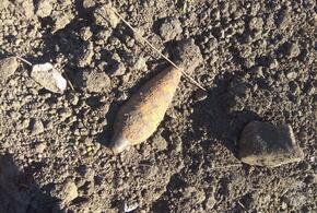 В центре Краснодара во дворе жилого дома нашли минометный снаряд
