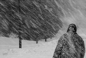 В горах Сочи поднялась снежная буря ВИДЕО