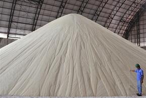 ФАС проверит владельцев сахарных заводов на Кубани