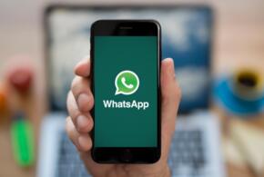 Какие аккаунты пользователей WhatsApp могут попасть под блокировку