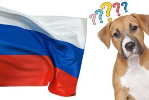 Коллапс мозга: Франция ввела санкции против российских собак