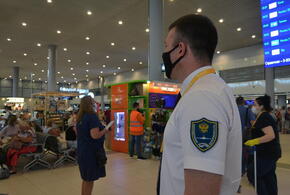 В аэропорту Анапы с начала года обслужили более 115 тысяч пассажиров