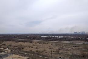 В Краснодаре на территории СНТ пожарные тушили траву