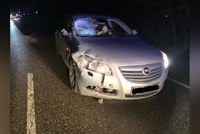 В Краснодаре женщина за рулем Opel насмерть сбила пешехода