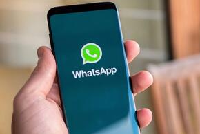 WhatsApp продолжит работать в России, но с ограничениями