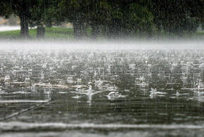 Похолодание, дожди и ветер: уже завтра погода на Кубани значительно ухудшится