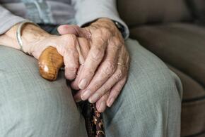 На Кубани пенсионеры все чаще становятся жертвами мошенников 
