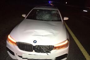 На Кубани водитель BMW насмерть сбил мужчину
