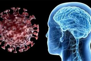 Старение мозга на 20 лет: ученые рассказали о тяжелых последствиях Covid-19 ВИДЕО