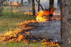 В Краснодарском крае до 3 мая сохраняется высокая пожароопасность