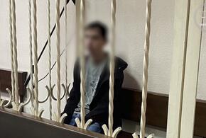 В Сочи суд на два месяца заключил под стражу неонациста, готовившего теракт ВИДЕО