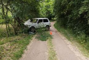 На Кубани водитель «Нивы» без прав влетел в дерево