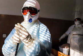 После холеры и обезьяньей оспы россиян предупреждают о чуме