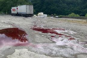 А-та-та: чиновники Сочи «погрозили пальчиком» водителю «кровавого» фургона