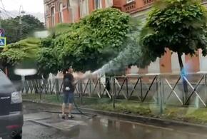 В Краснодаре даже после сильного дождя поливают деревья ВИДЕО