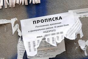 В Новороссийске нашли резиновый дом, где были прописаны 70 человек