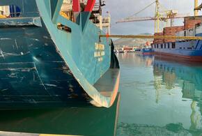 В порту Новороссийска столкнулись два стометровых иностранных судна