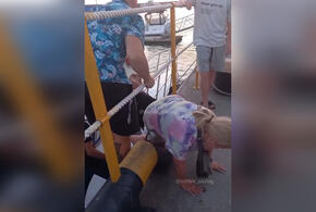 В Сочи пассажиры вынуждены были покидать яхту на четвереньках ВИДЕО