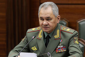 Министр обороны РФ Шойгу доложил президенту об освобождении ЛНР