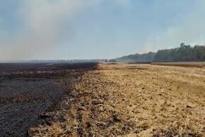 На Кубани во время пожара в поле обгорел пенсионер ВИДЕО