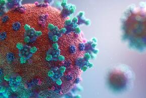 Пик заболеваемости коронавирусом в России наступит через месяц
