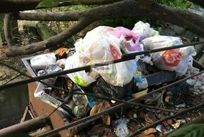 Улицы Туапсе утопают в мусоре и хламе ВИДЕО