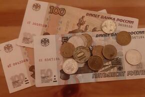 Депутаты Госдумы, получающие по 500 тысяч, предложили увеличить МРОТ до 30 тысяч
