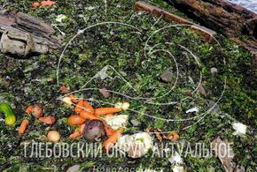 На пляж в Новороссийске выкинуло овощи для борща