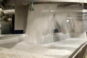 Предприятия Краснодарского края начали производство сахара нового урожая