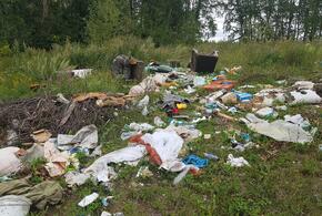 В пяти поселениях Усть-Лабинского района Кубани нашли незаконные свалки