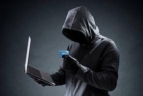 В Краснодаре поймали курьеров, которые работали на интернет-мошенников
