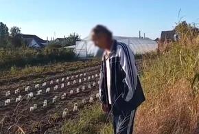 В Краснодарском крае мужчина засадил свой огород коноплей