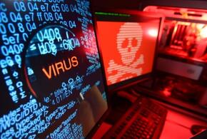 Силовики раскрыли кибератаку на АЗС в Краснодаре