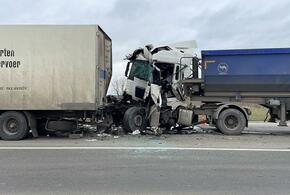 На Кубани водитель фуры погиб, врезавшись в другой грузовик