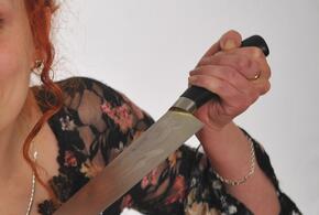 На Кубани женщина ранила кухонным ножом двух мужчин